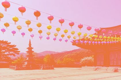 Lighten with #e8743b on the lotus-lanterns photo