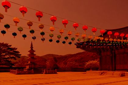 Linear Burn with #e8743b on the lotus-lanterns photo