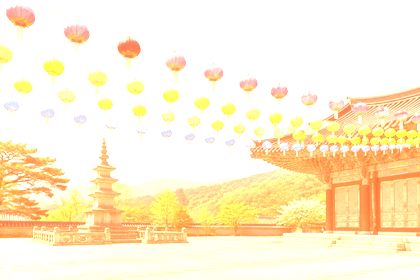 Linear Dodge with #e8743b on the lotus-lanterns photo