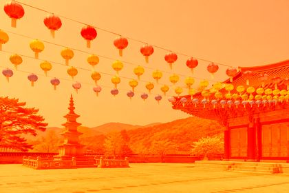 Linear Light with #e8743b on the lotus-lanterns photo