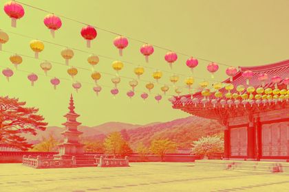 Pin Light with #e8743b on the lotus-lanterns photo