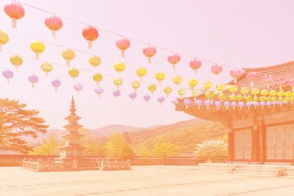 Screen with #e8743b on the lotus-lanterns photo