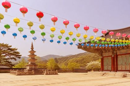 Soft Light with #e8743b on the lotus-lanterns photo