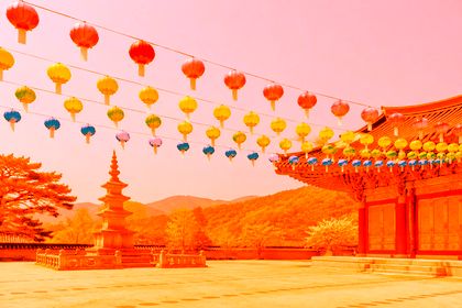 Vivid Light with #e8743b on the lotus-lanterns photo
