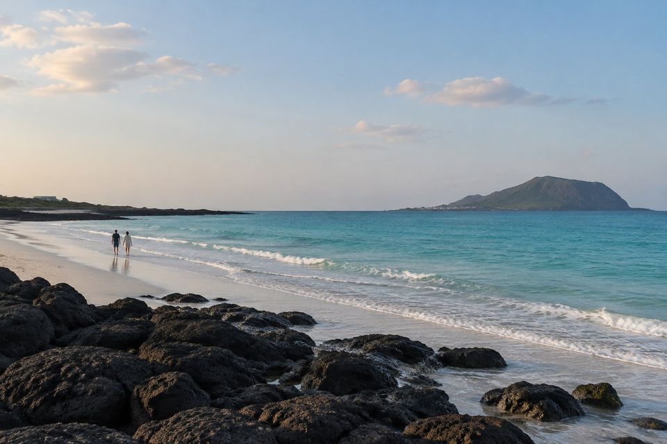 Jeju beach with black volcanic rocks in late afternoon light